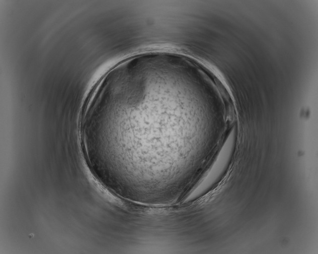 X0000088881389200706291553