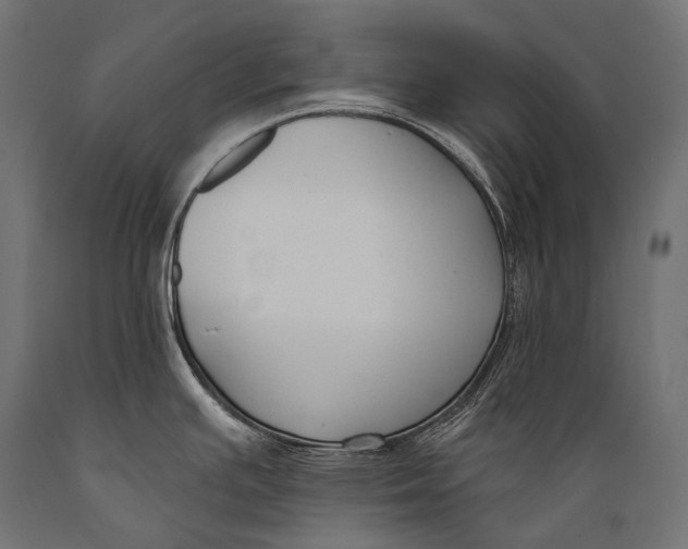 X0000088881391200706291553