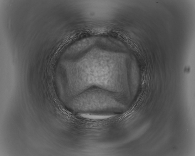 X0000088881393200706291553