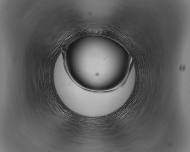 X0000088881394200706291553