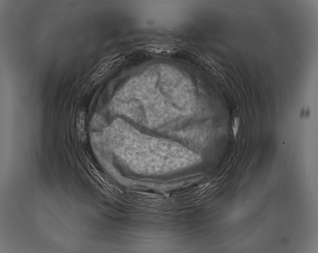 X0000088881396200706291553