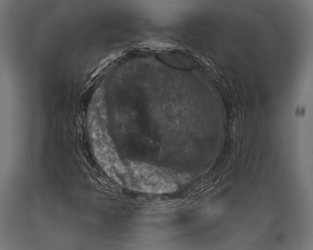 X0000088881397200706291553