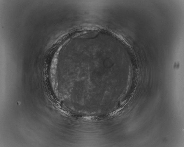 X0000088881399200706291553