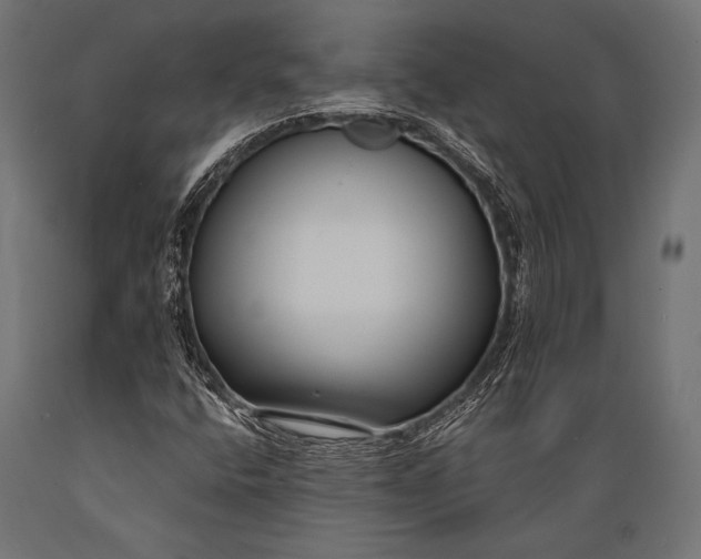 X0000088881400200706291553