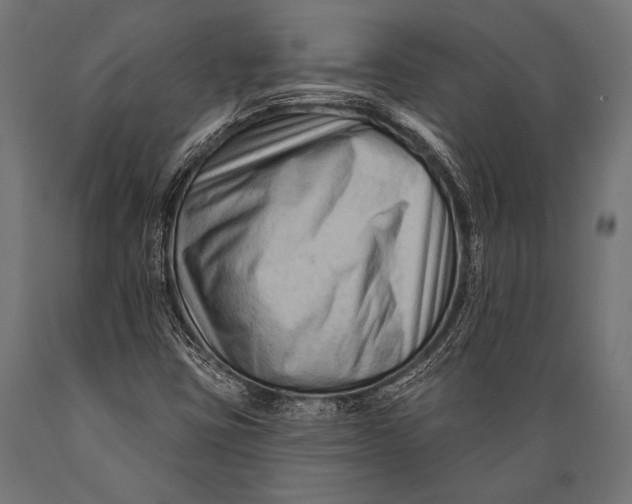 X0000088881403200706291553