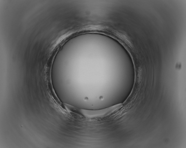 X0000088881404200706291553