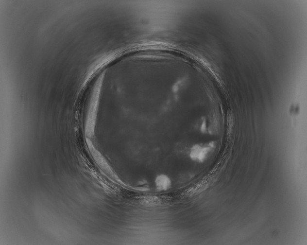 X0000088881405200706291553