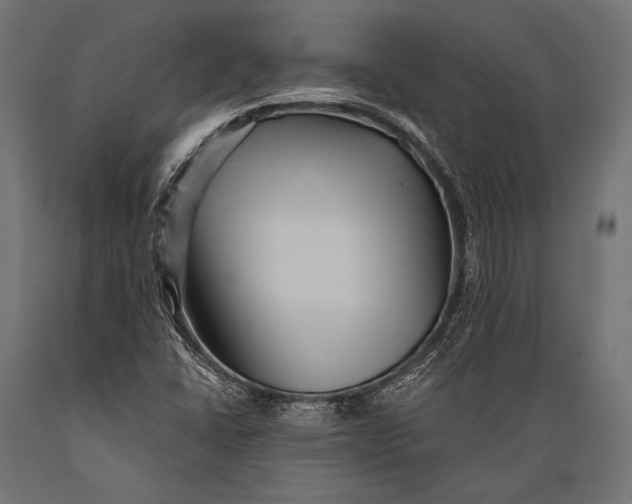 X0000088881406200706291553