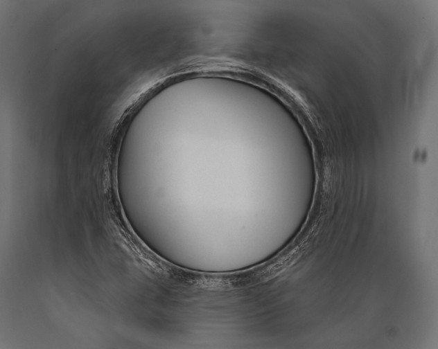 X0000088881407200706291553