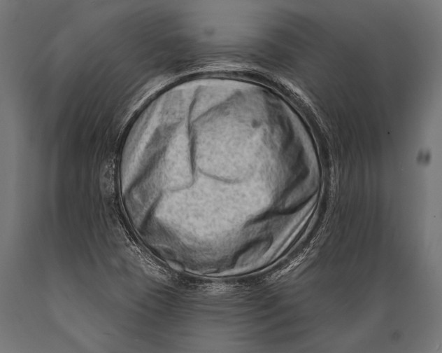 X0000088881409200706291553