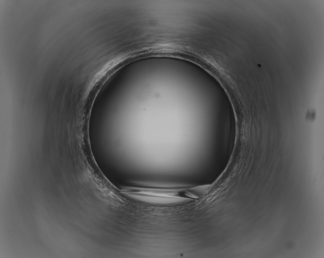 X0000088881410200706291553