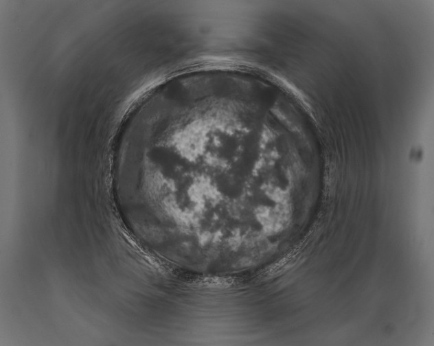 X0000088881411200706291553