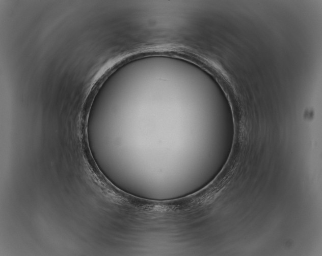 X0000088881412200706291553