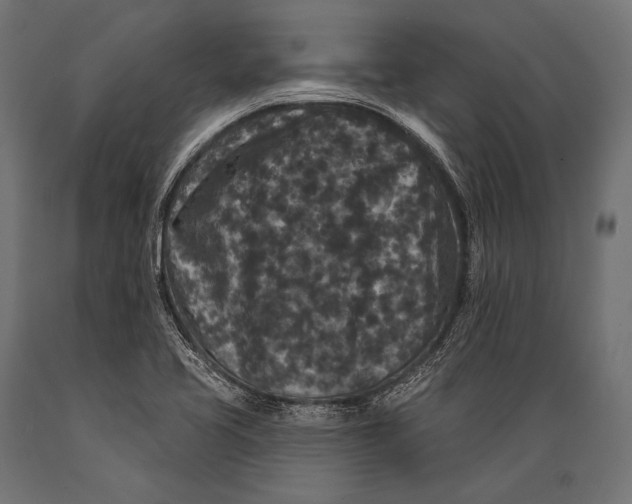 X0000088881413200706291553