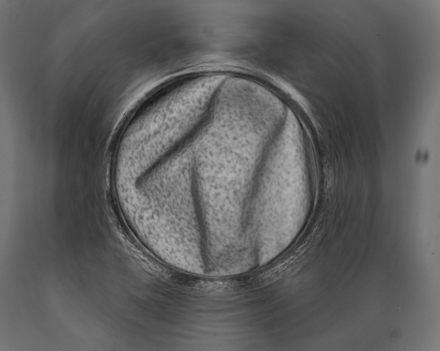 X0000088881415200706291553