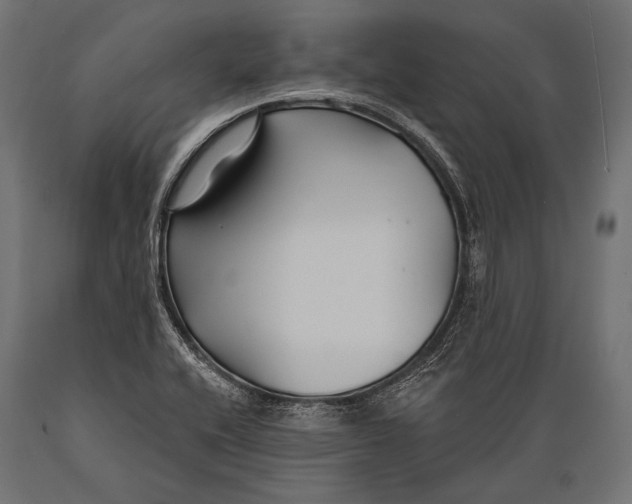 X0000088881416200706291553