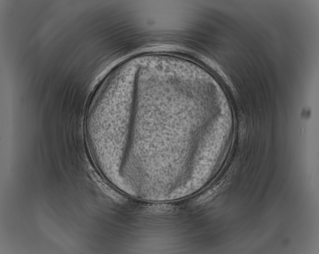 X0000088881417200706291553