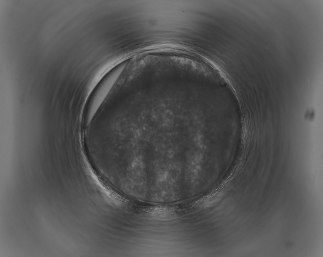 X0000088881418200706291553