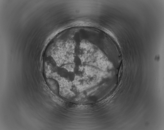 X0000088881419200706291553