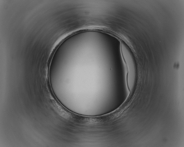 X0000088881420200706291553