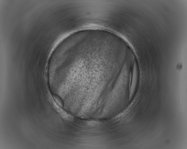 X0000088881421200706291553