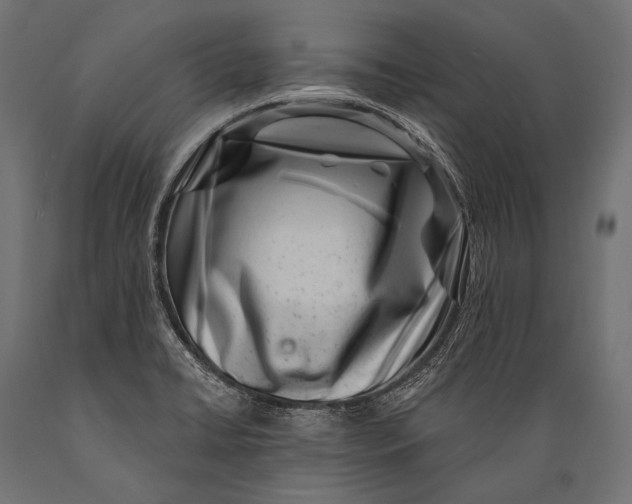 X0000088881422200706291553