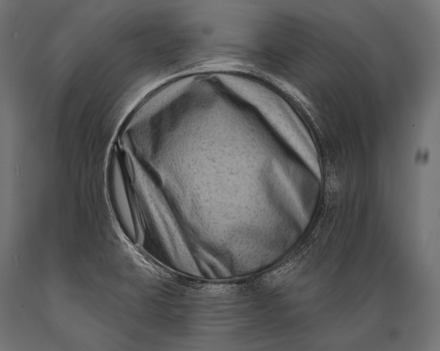 X0000088881423200706291553