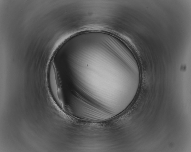 X0000088881424200706291553