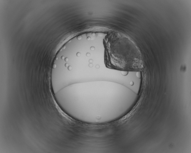 X0000088881425200706291553