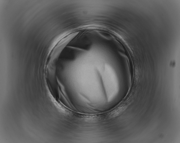 X0000088881426200706291553