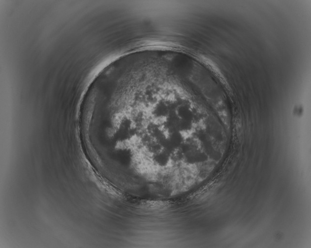 X0000088881427200706291553