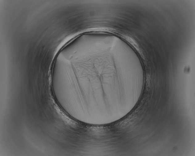 X0000088881428200706291553