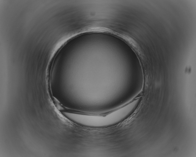 X0000088881430200706291553