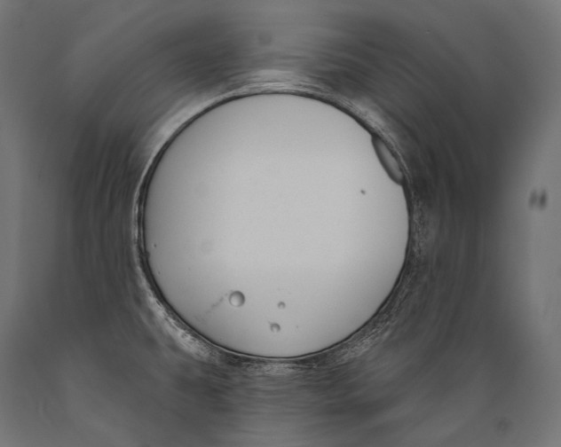 X0000088881431200706291553