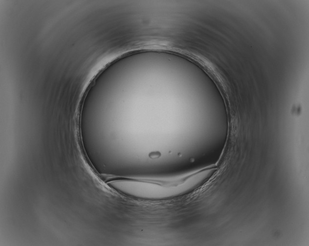 X0000088881432200706291553