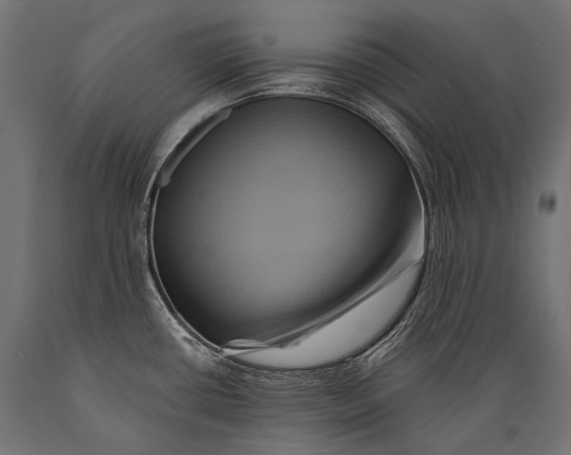 X0000088881434200706291553