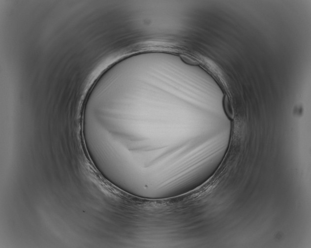 X0000088881435200706291553