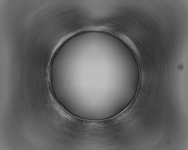 X0000088881436200706291553