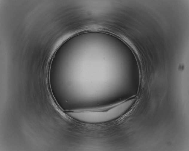 X0000088881437200706291553