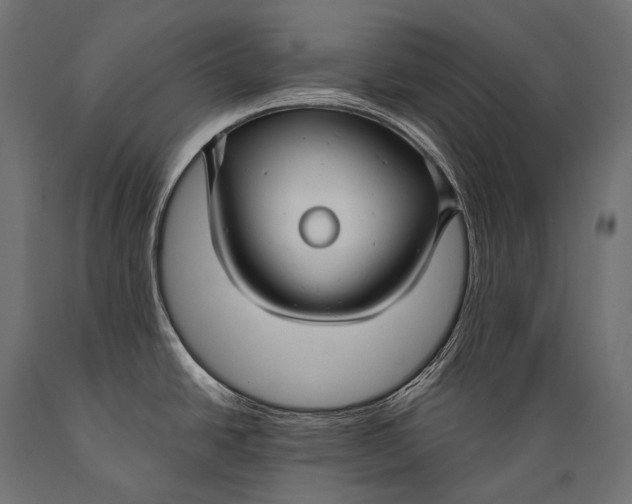 X0000088881438200706291553