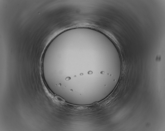 X0000088881439200706291553