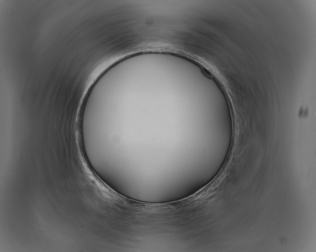 X0000088881440200706291553