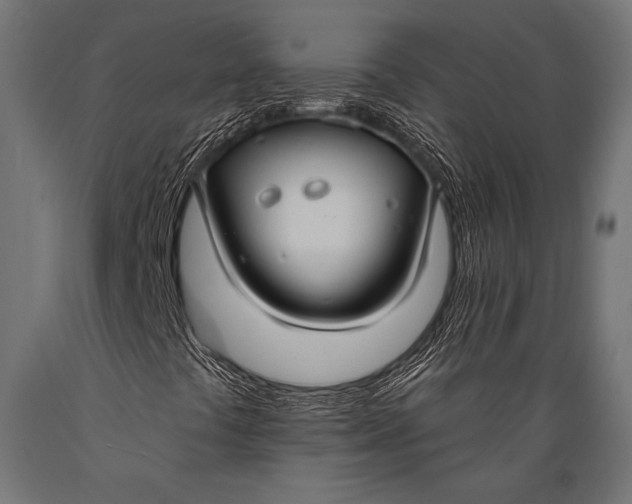 X0000088881441200706291553