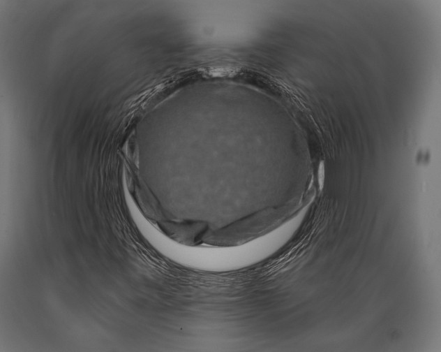 X0000088881443200706291552