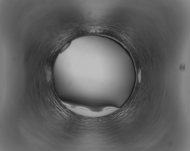 X0000088881444200706291552