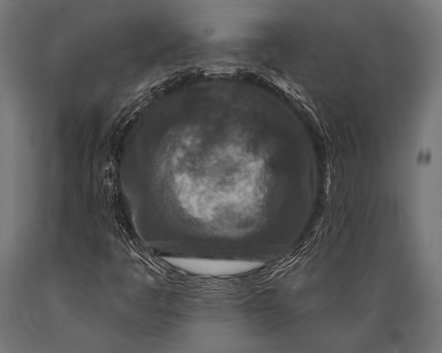 X0000088881445200706291552