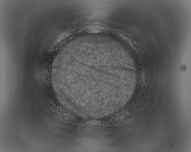 X0000088881446200706291552