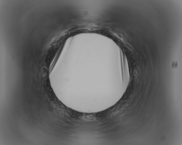 X0000088881447200706291552