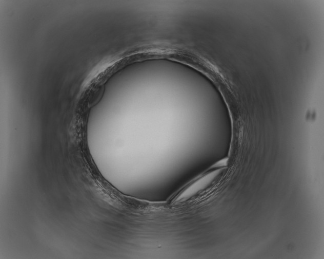 X0000088881448200706291552