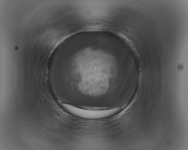 X0000088881449200706291552